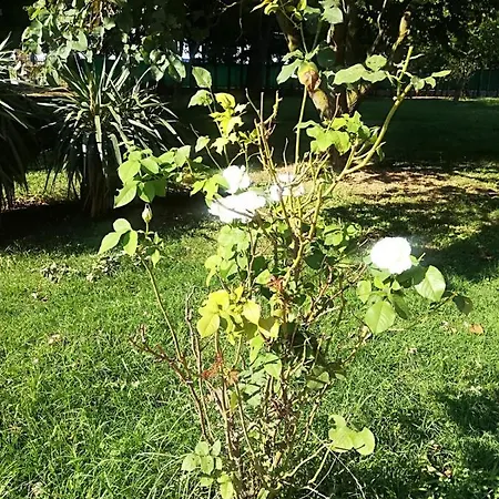 Tenuta Madiba Han/Misafirhane