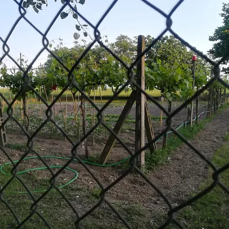 Herberg Tenuta Madiba *