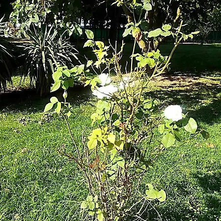 Tenuta Madiba