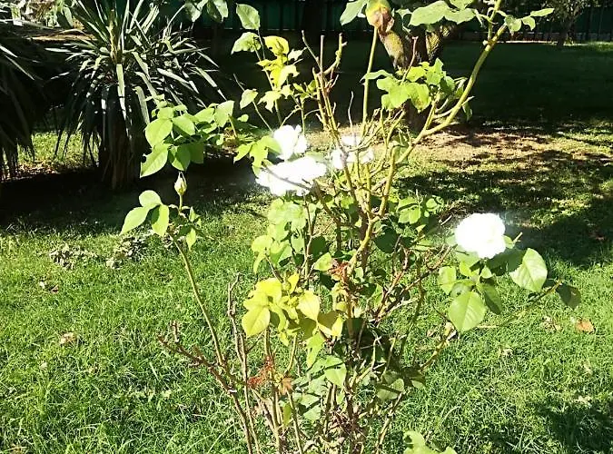 Tenuta Madiba 宾馆